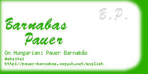 barnabas pauer business card